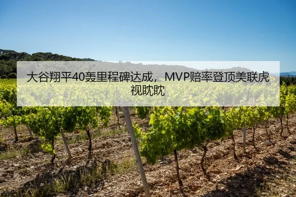 大谷翔平40轰里程碑达成，MVP赔率登顶美联虎视眈眈
