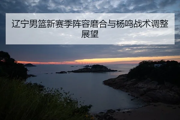 liao-ning-nan-lan-xin-sai-ji-zhen-rong-mo-he-yu-yang-ming-zhan-shu-tiao-zheng-zhan-wang-2-171.jpg