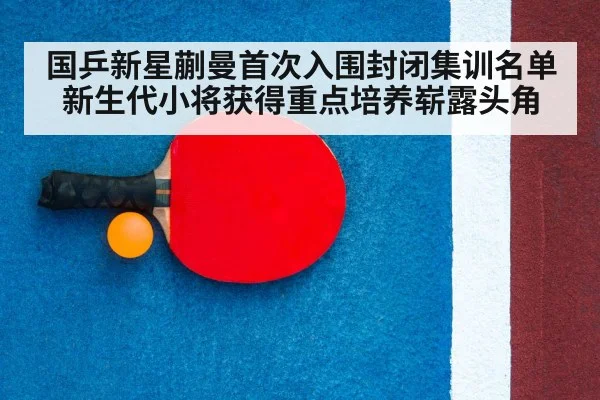 table tennis racket